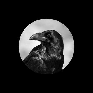 国产又大又黄又猛又爽的竹
