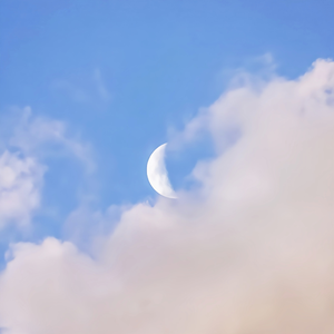 国产又大又黄又猛又爽的竹
