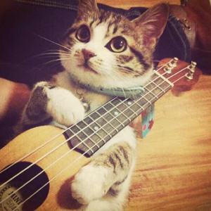 国产又大又黄又猛又爽的竹
